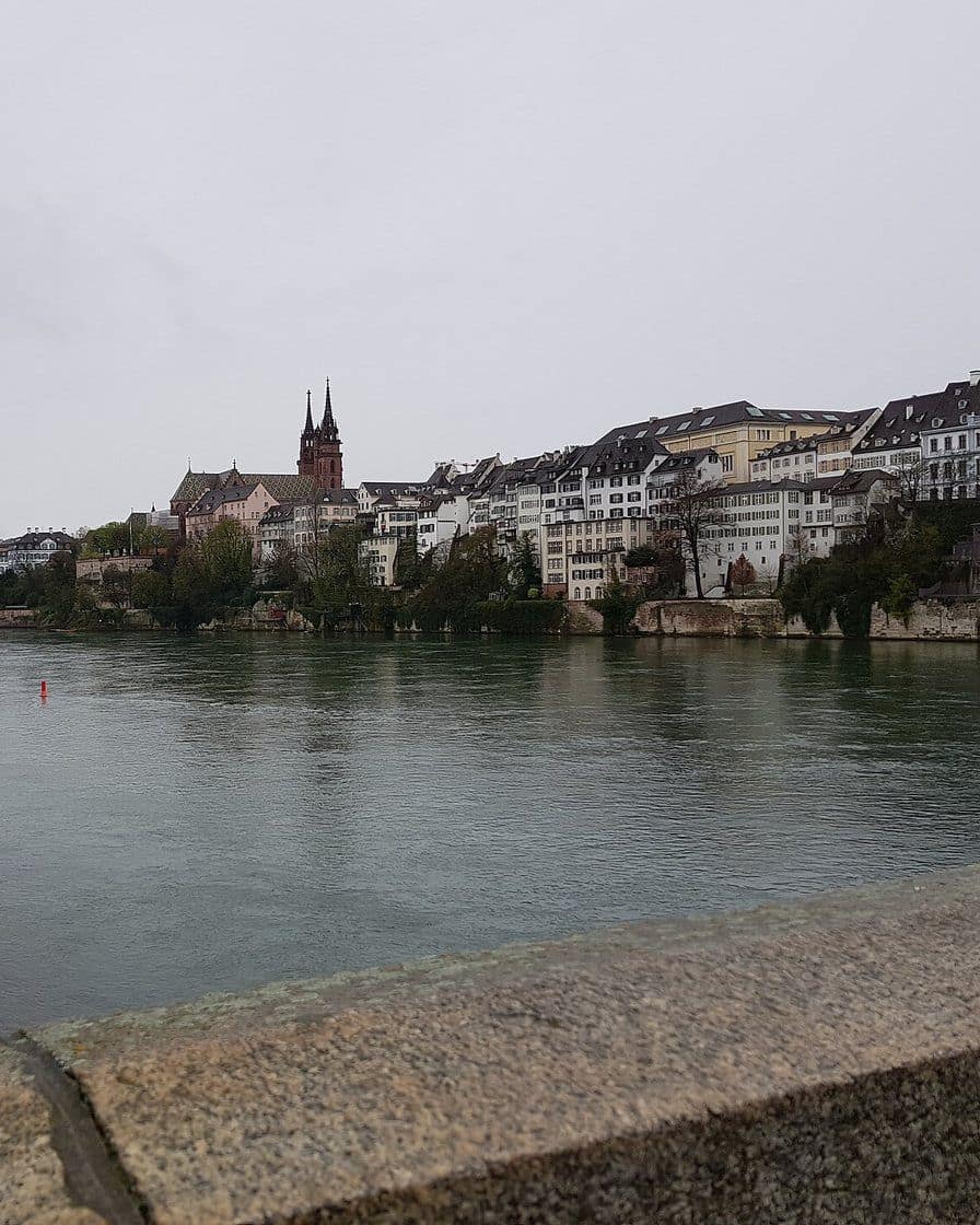 Der Rhein in Basel, darüber das Münster und die Pfalz auf dem Hochufer von Grossbasel, von der Kleinbasler Seite aus gesehen